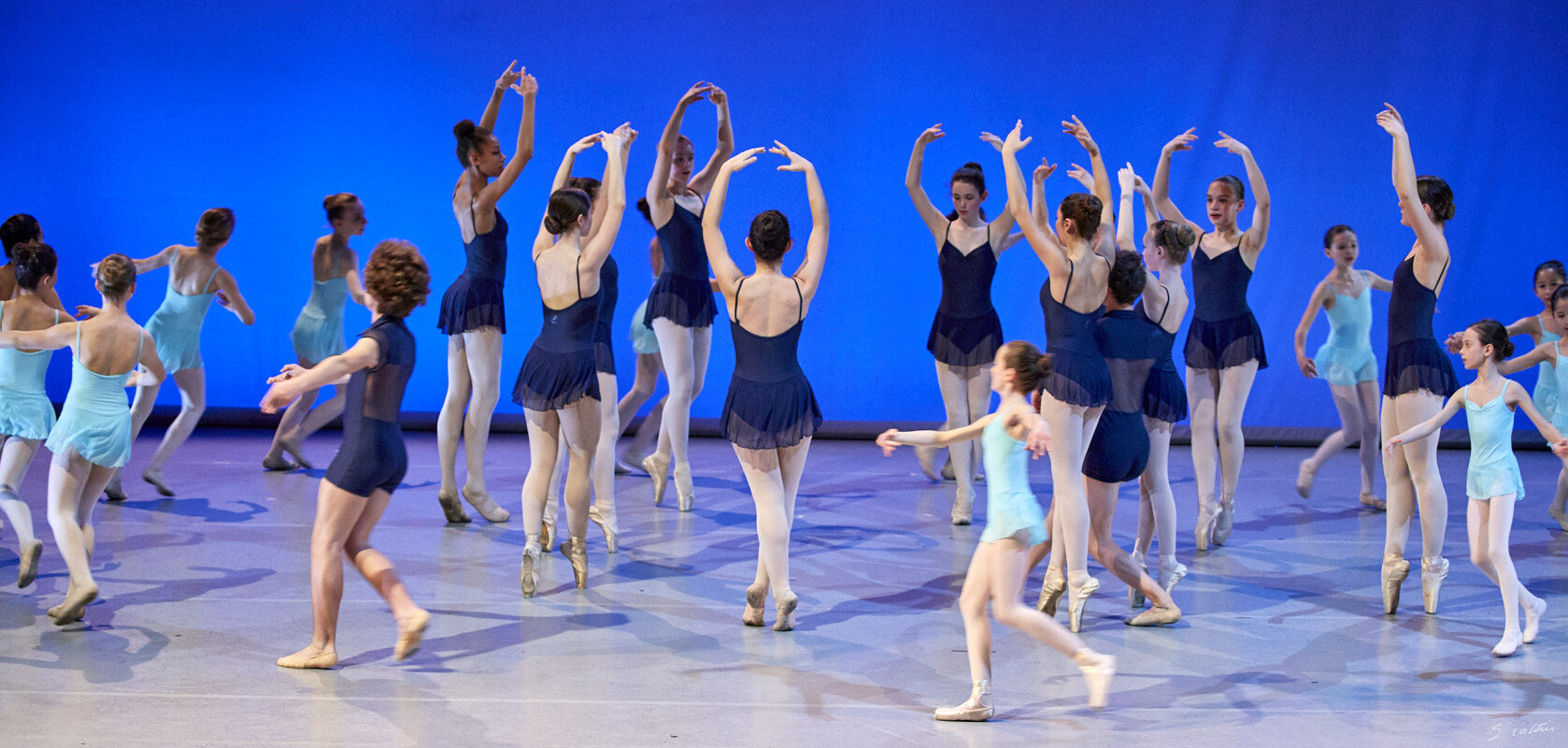 © All Rights Reserved - 2019-04-02 19:41:14 - f/5 1/160sec ISO-4000 105mm