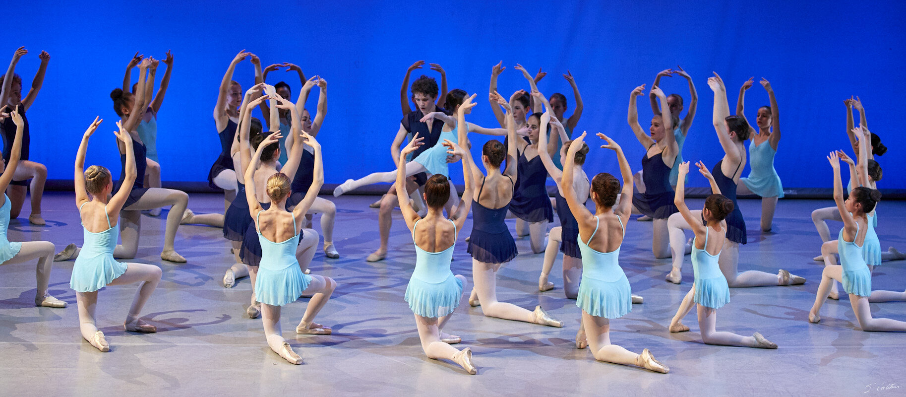 © All Rights Reserved - 2019-04-02 19:41:22 - f/5 1/125sec ISO-2500 100mm