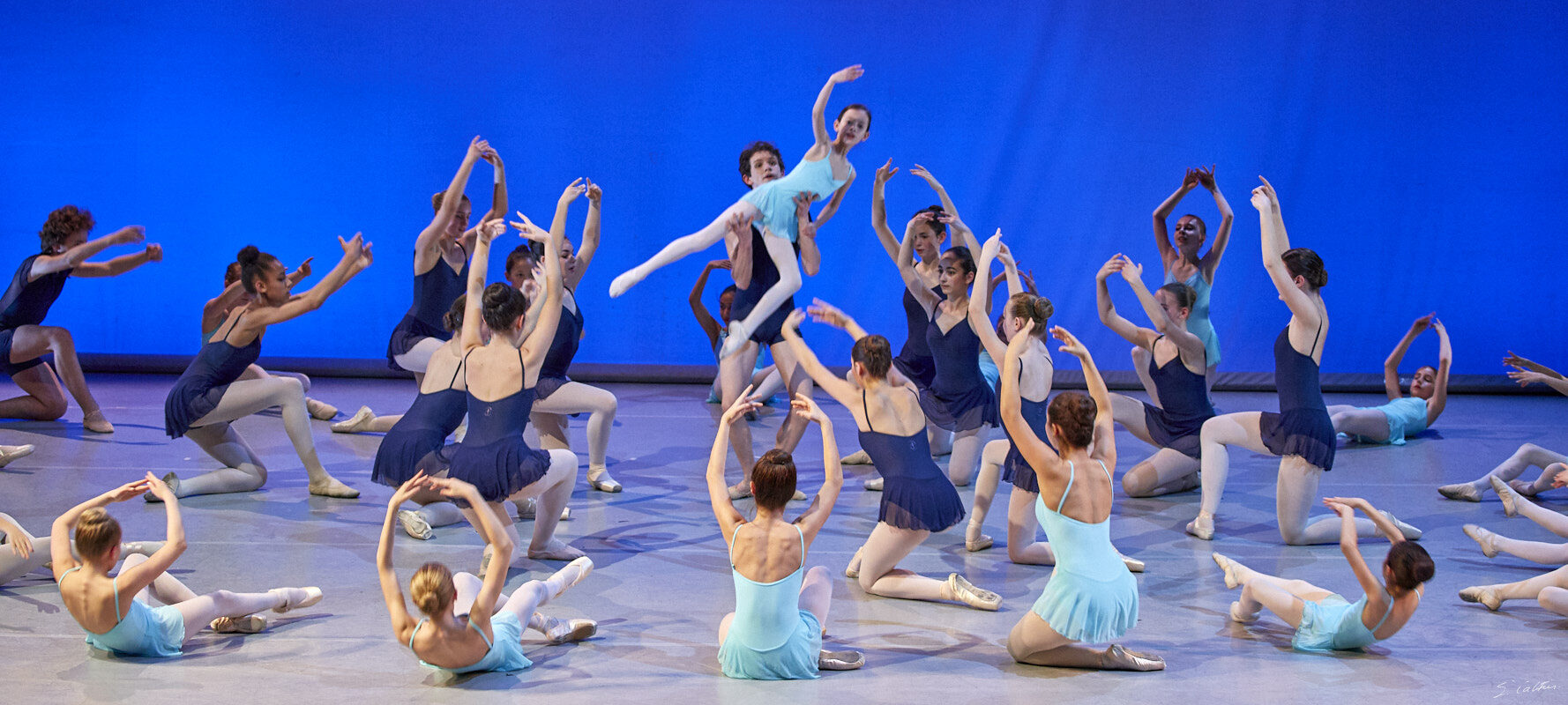 © All Rights Reserved - 2019-04-02 19:41:23 - f/5 1/125sec ISO-2500 100mm