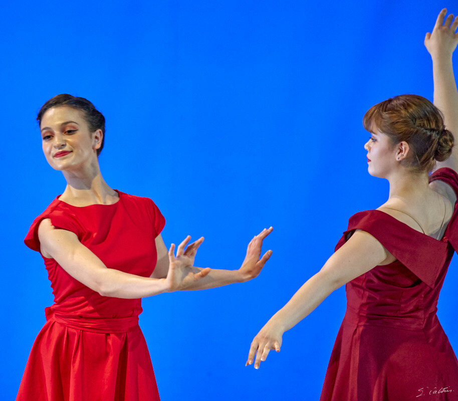 © All Rights Reserved - 2019-04-02 19:49:24 - f/5.6 1/160sec ISO-3200 400mm