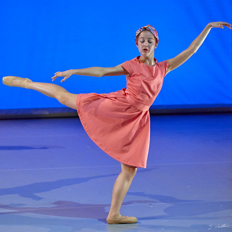 © All Rights Reserved - 2019-04-02 19:50:50 - f/5 1/125sec ISO-3200 248mm