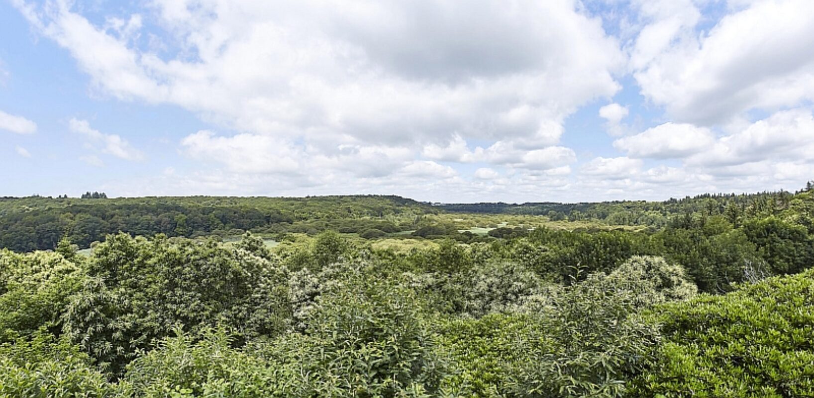 © All Rights Reserved - 2019-06-30 12:44:01 - France, Bretagne, Morbihan