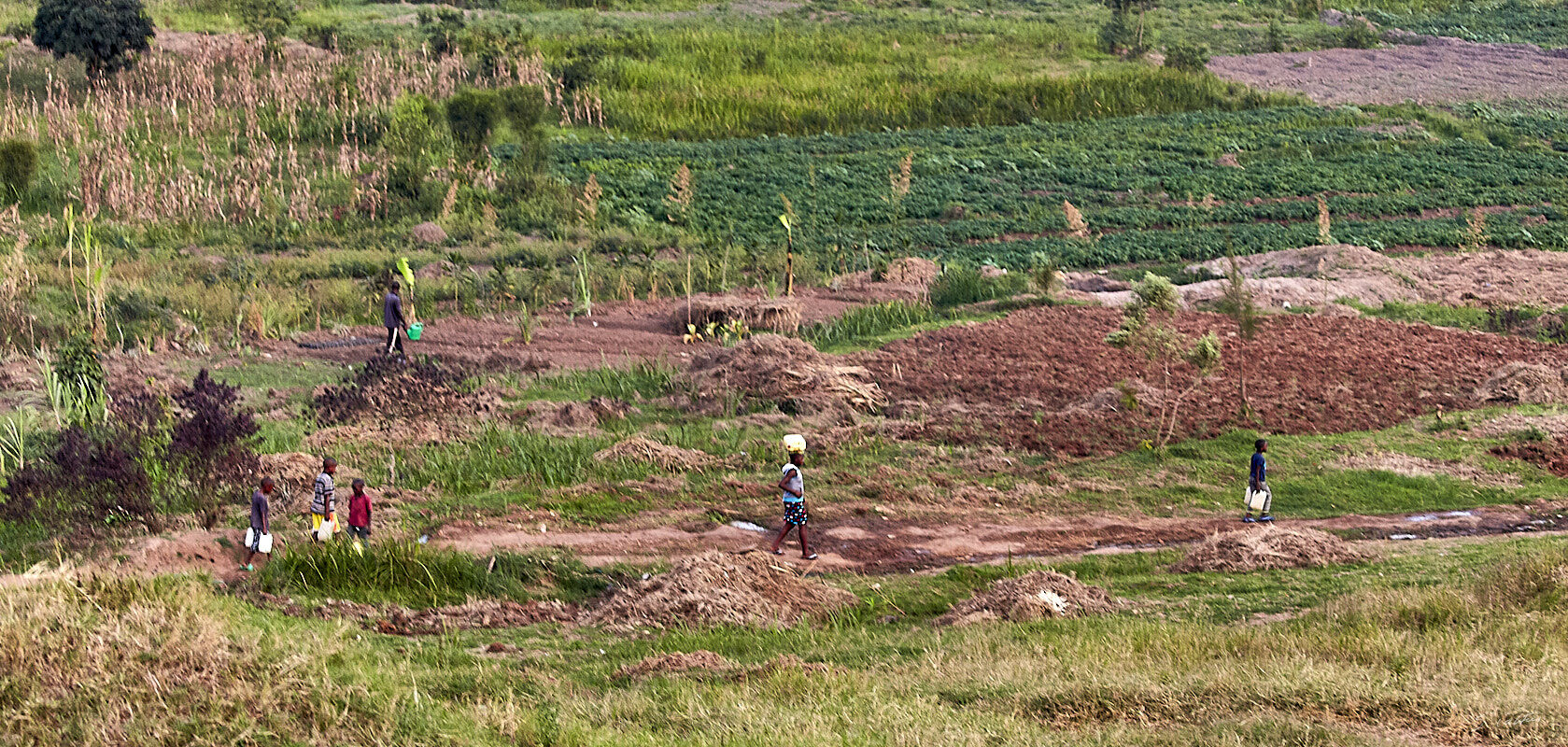 © All Rights Reserved - 2019-08-15 18:12:01 - f/4.5 1/30sec ISO-2000 100mm - Rwanda, Kigali