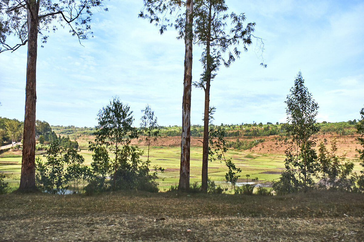 © All Rights Reserved - 2019-08-27 15:38:34 f/3.2 1/1600sec ISO-200 18.5mm - Rwanda, route Kigali-Huye (Butare)