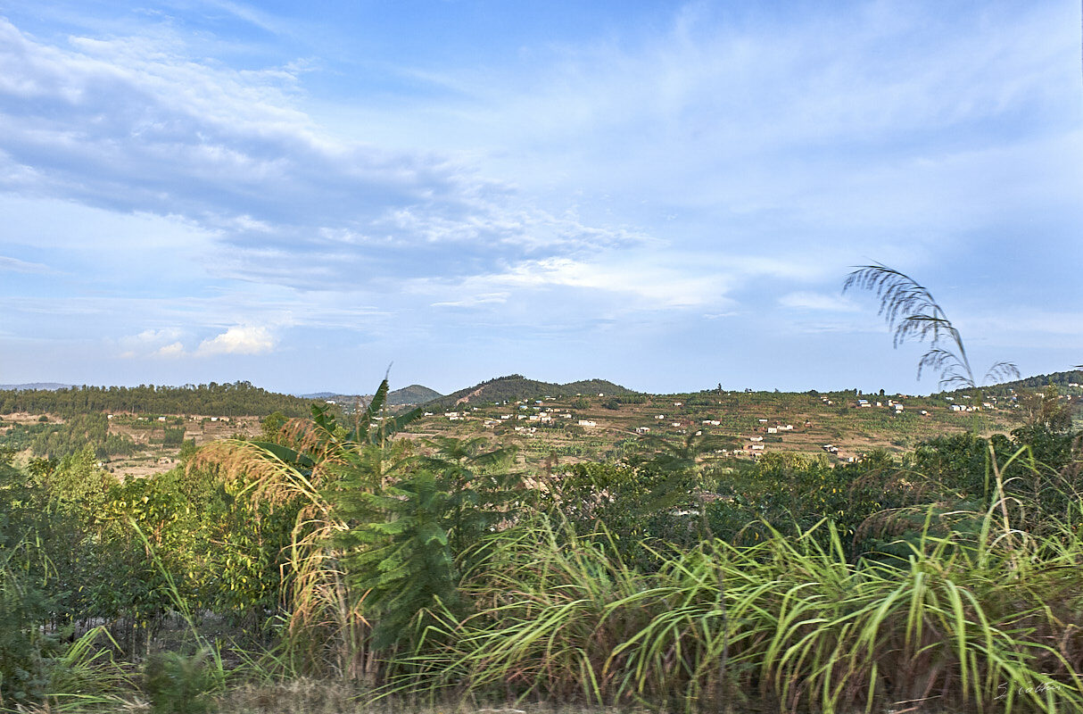 © All Rights Reserved - 2019-08-27 16:24:02 f/6.4 1/800sec ISO-200 18.5mm - Rwanda, route Kigali-Huye (Butare)