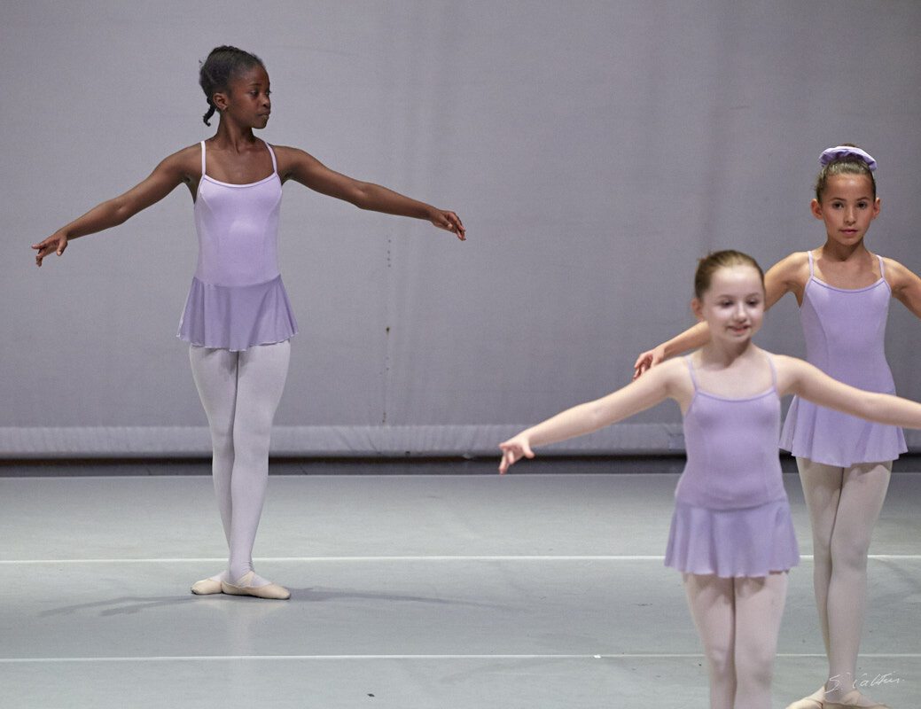 © All Rights Reserved - 2019-12-14 19:44:58 - f/5.6 1/100sec ISO-2000 241mm