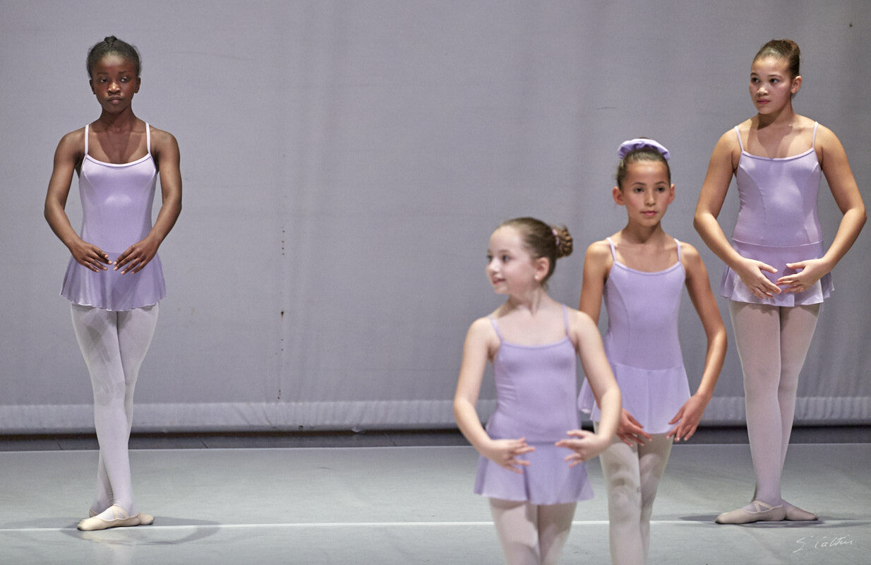 © All Rights Reserved - 2019-12-14 19:45:49 - f/5.6 1/100sec ISO-2000 263mm