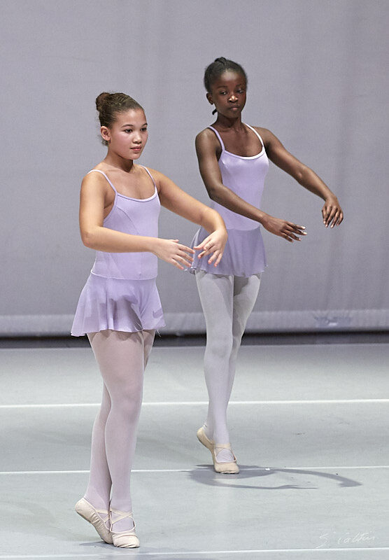 © All Rights Reserved - 2019-12-14 19:46:01 - f/5.6 1/100sec ISO-2000 200mm