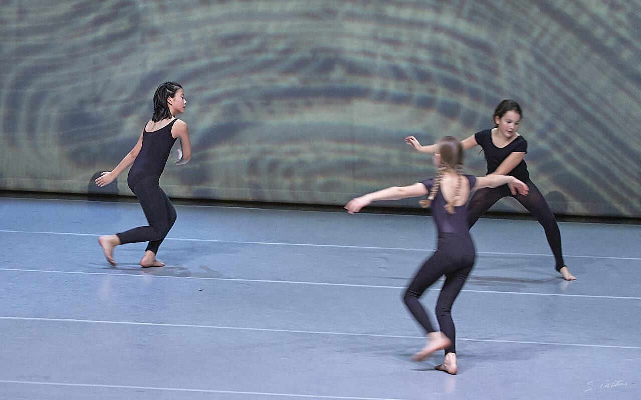 © All Rights Reserved - 2019-12-14 20:04:24 - f/4.5 1/100sec ISO-4000 100mm