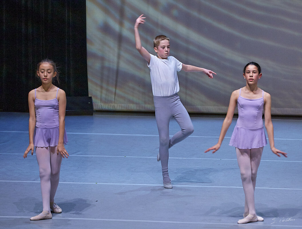 © All Rights Reserved - 2019-12-14 20:12:44 - f/5.6 1/100sec ISO-3200 176mm