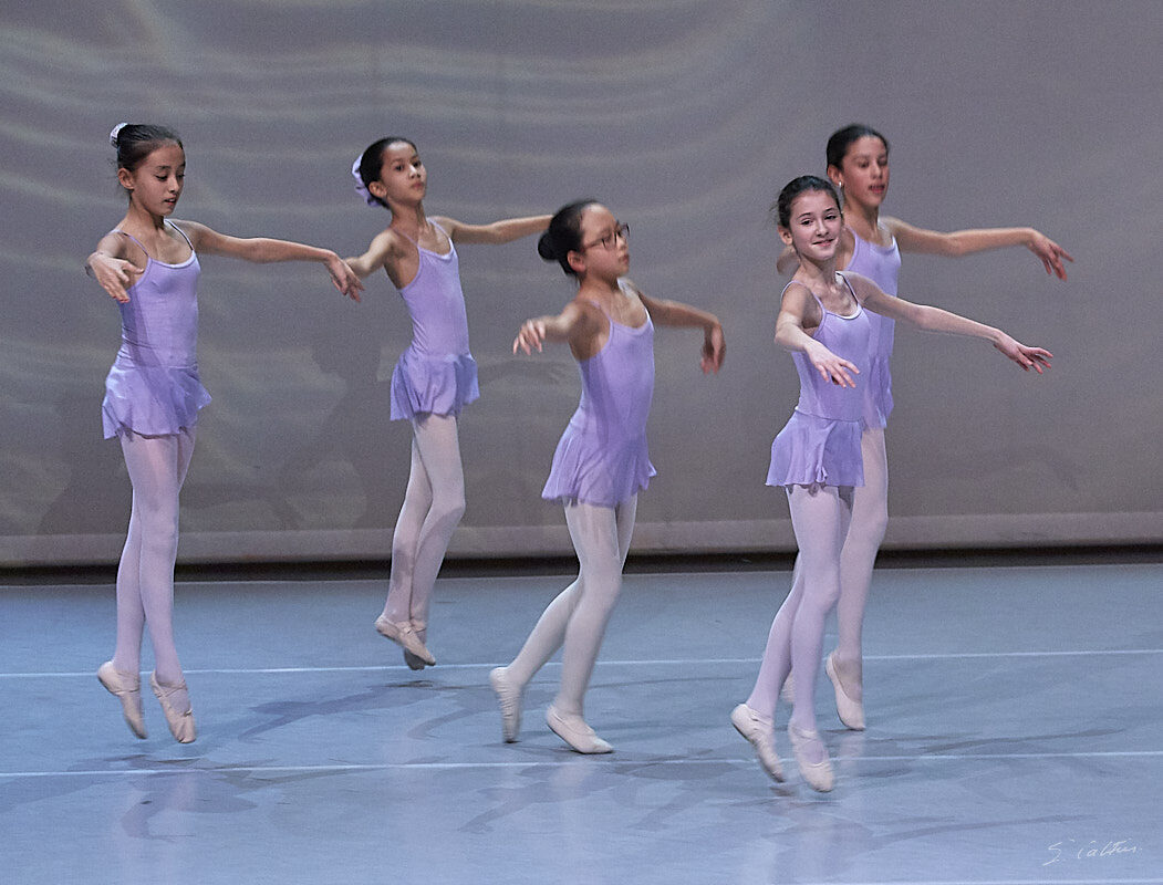 © All Rights Reserved - 2019-12-14 20:13:16 - f/5 1/100sec ISO-3200 142mm