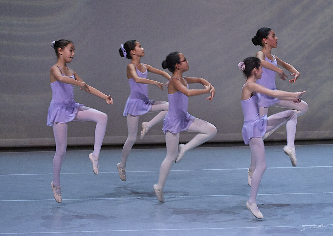 © All Rights Reserved - 2019-12-14 20:13:16 - f/5 1/100sec ISO-2500 142mm