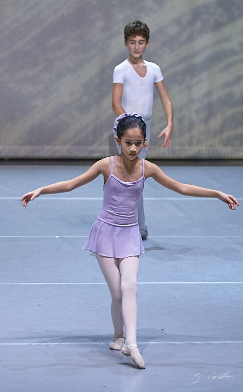 © All Rights Reserved - 2019-12-14 20:14:33 - f/5.6 1/100sec ISO-3200 176mm