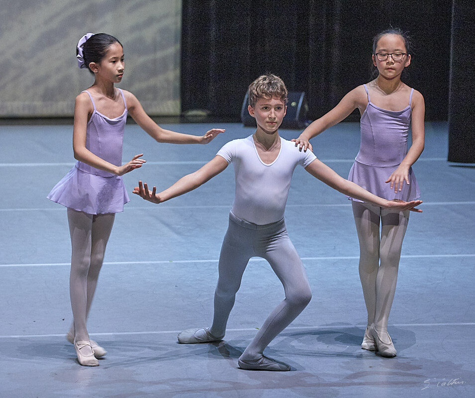 © All Rights Reserved - 2019-12-14 20:14:41 - f/5.6 1/100sec ISO-3200 176mm