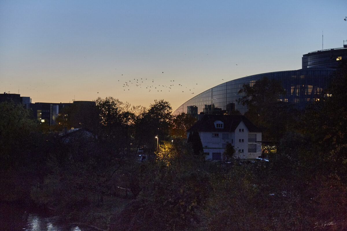 © All Rights Reserved - 2020-10-31 18:44:58 - f/3.5 1/40sec ISO-1600 70mm - France, Alsace, Strasbourg-Europe