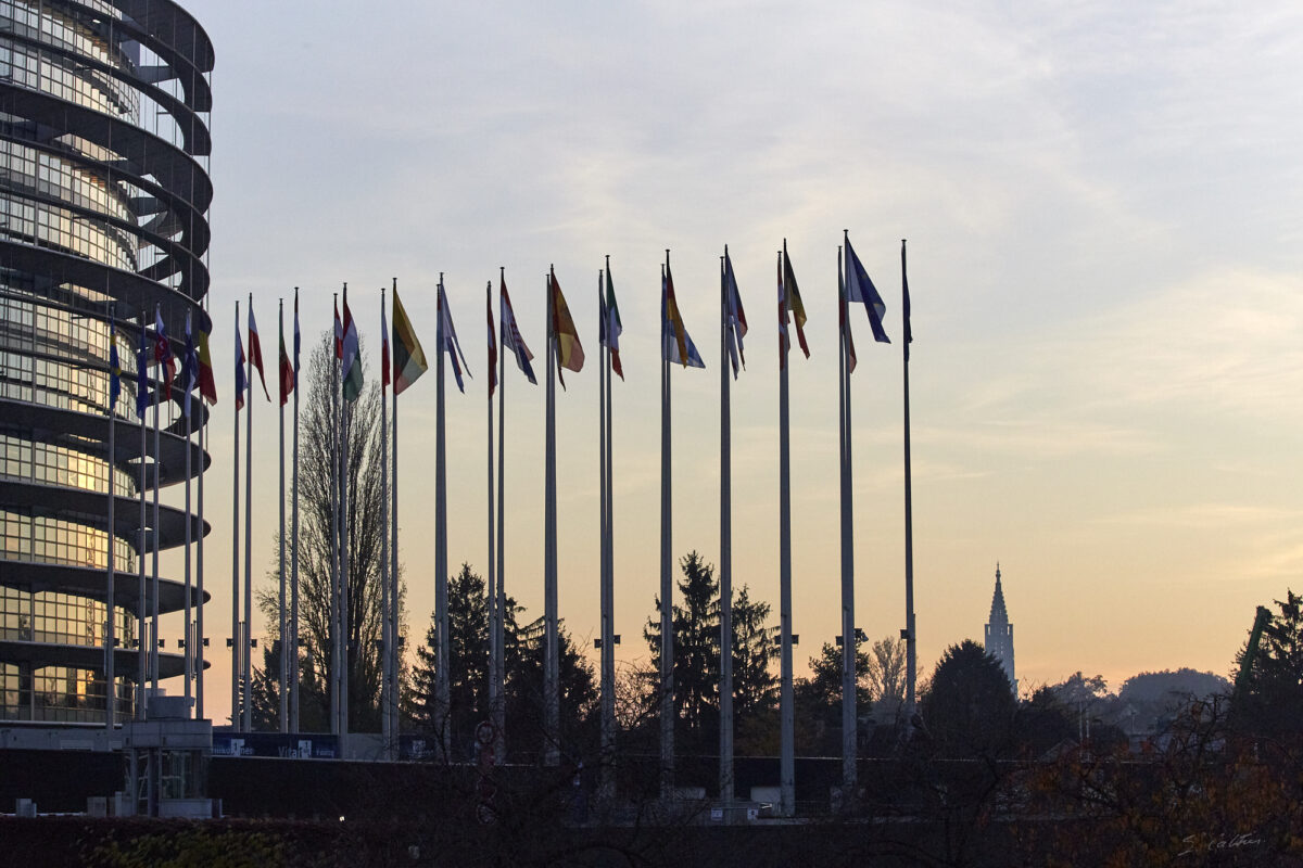 © All Rights Reserved - 2020-11-21 16:36:13 - f/13 1/1000sec ISO-1250 100mm - France, Alsace, Strasbourg-Europe