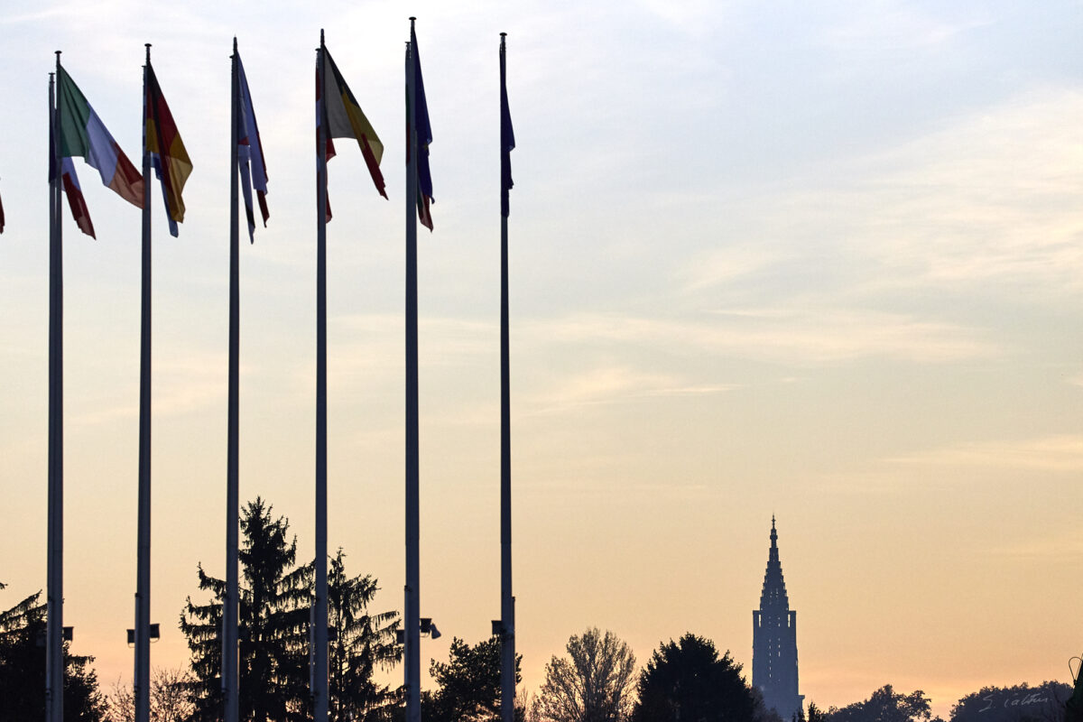 © All Rights Reserved - 2020-11-21 16:37:19 - f/5.6 1/4000sec ISO-1250 182mm - France, Alsace, Strasbourg-Europe