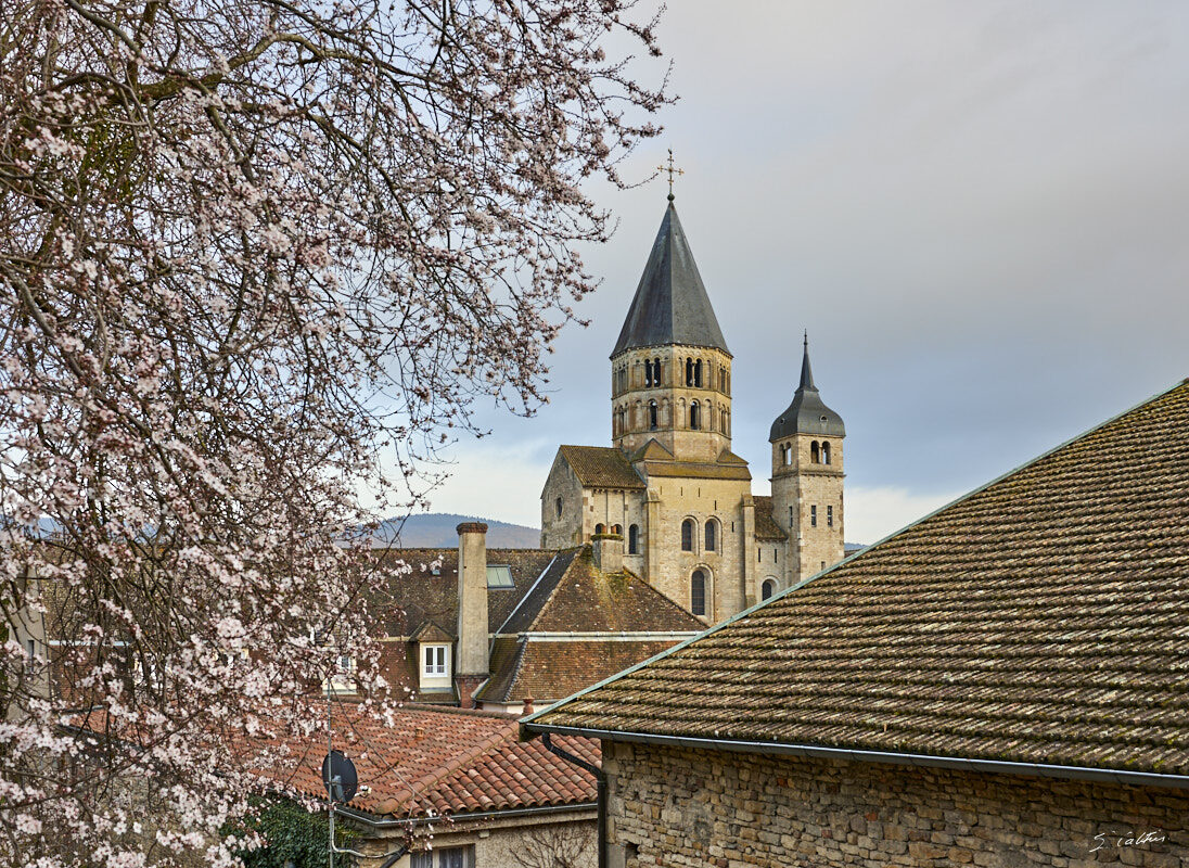 © All Rights Reserved - 2024-02-28 15:44:35 - f/8 1/40sec ISO-100 35mm - France, Bourgogne, Cluny