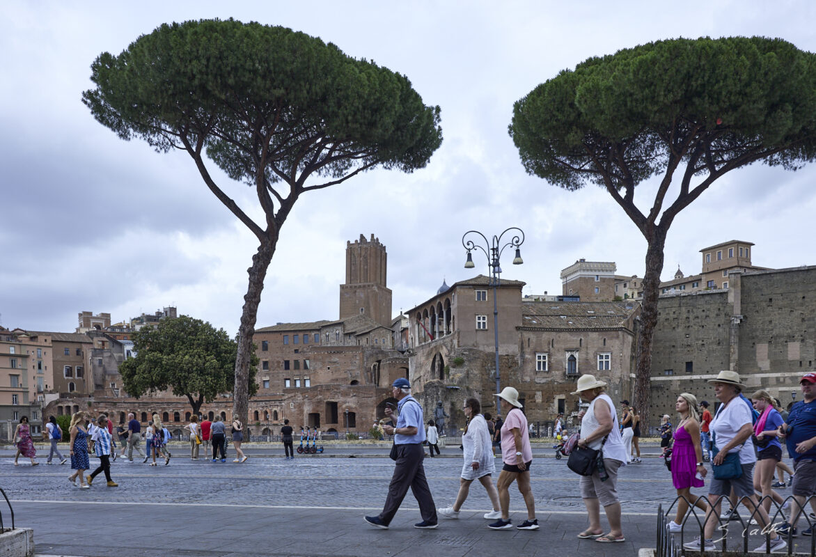 © All Rights Reserved - 2024-06-23 09:53:24 - f/9 1/160sec ISO-100 30mm - Italie,, Rome