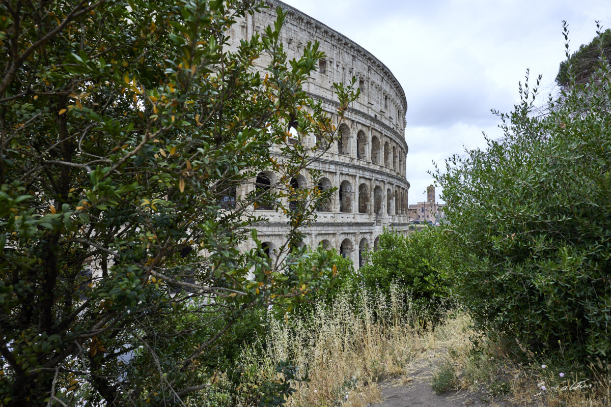 © All Rights Reserved - 2024-06-23 11:22:33 - f/9 1/125sec ISO-100 22mm - Italie,, Rome