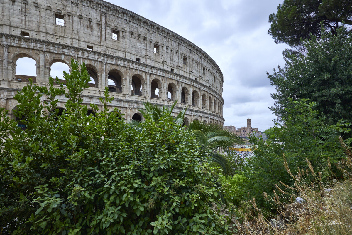 © All Rights Reserved - 2024-06-23 11:23:06 - f/9 1/160sec ISO-100 18mm - Italie,, Rome