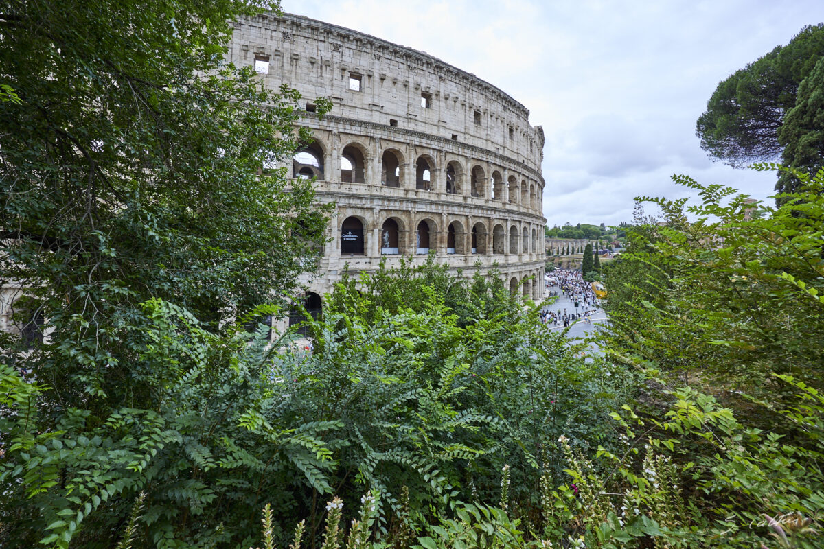 © All Rights Reserved - 2024-06-23 11:24:19 - f/9 1/80sec ISO-100 14mm - Italie,, Rome