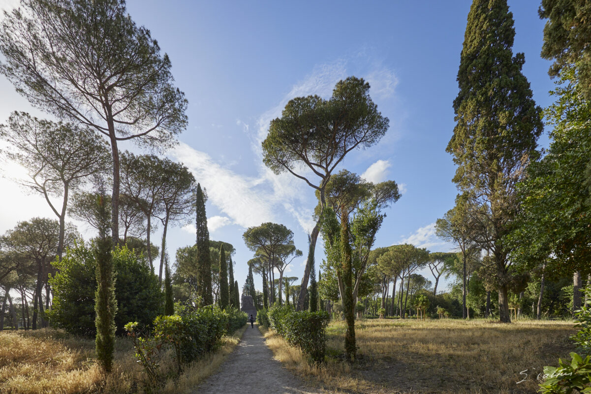 © All Rights Reserved - 2024-06-23 16:27:56 - f/9 1/160sec ISO-100 14mm - Italie,, Rome