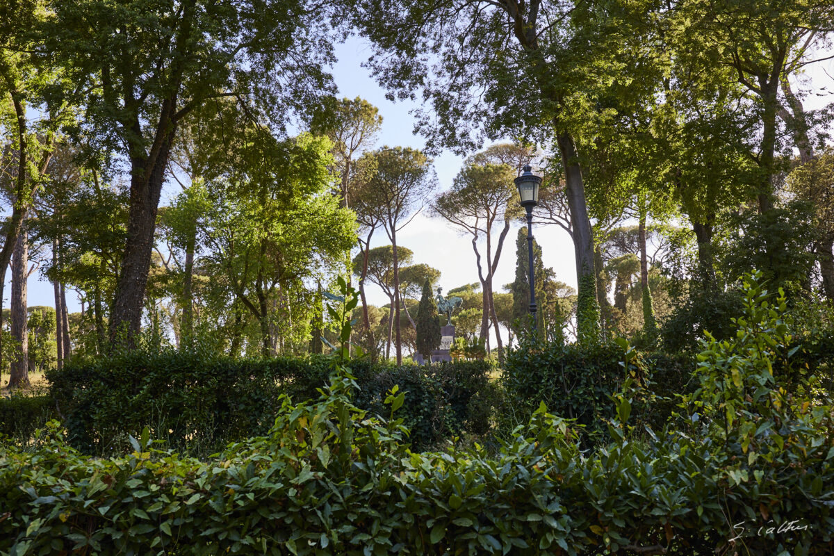 © All Rights Reserved - 2024-06-23 16:34:48 - f/9 1/50sec ISO-100 35mm - Italie,, Rome