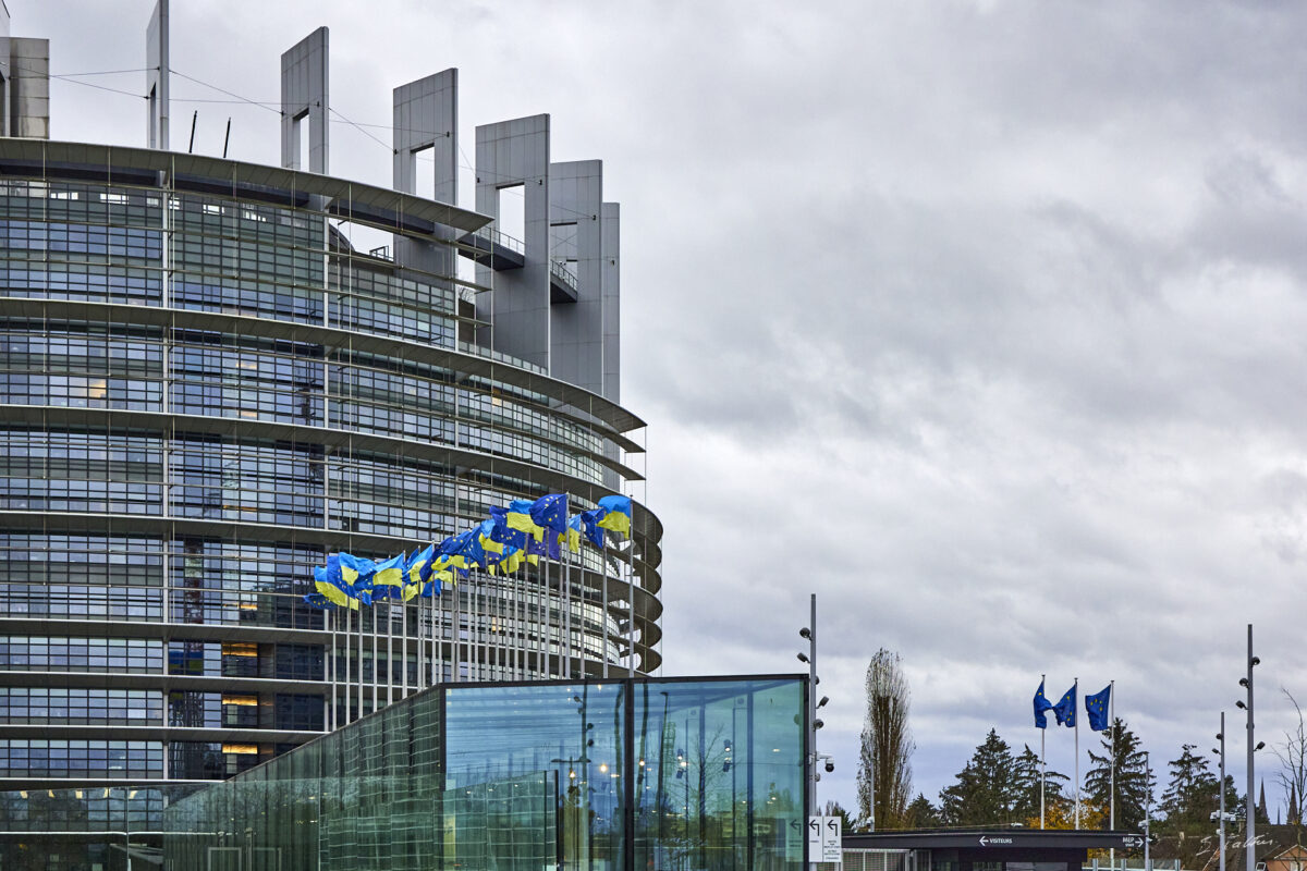 © All Rights Reserved - 2024-11-19 11:04:02 - f/5.6 1/2500sec ISO-1600 53mm - France, Alsace, Strasbourg-Europe