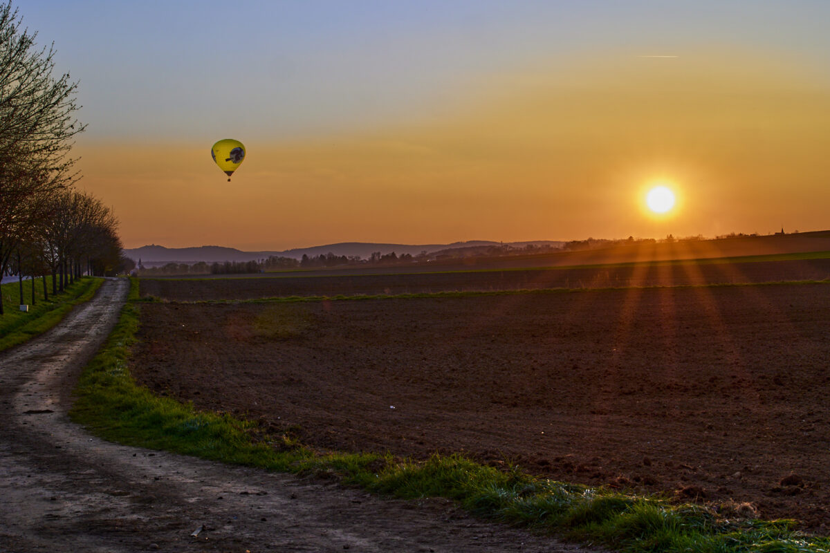 © All Rights Reserved - 2025-03-28 16:40:32 f/16 1/50sec ISO-100 70mm - France, Alsace, paysage, printemps