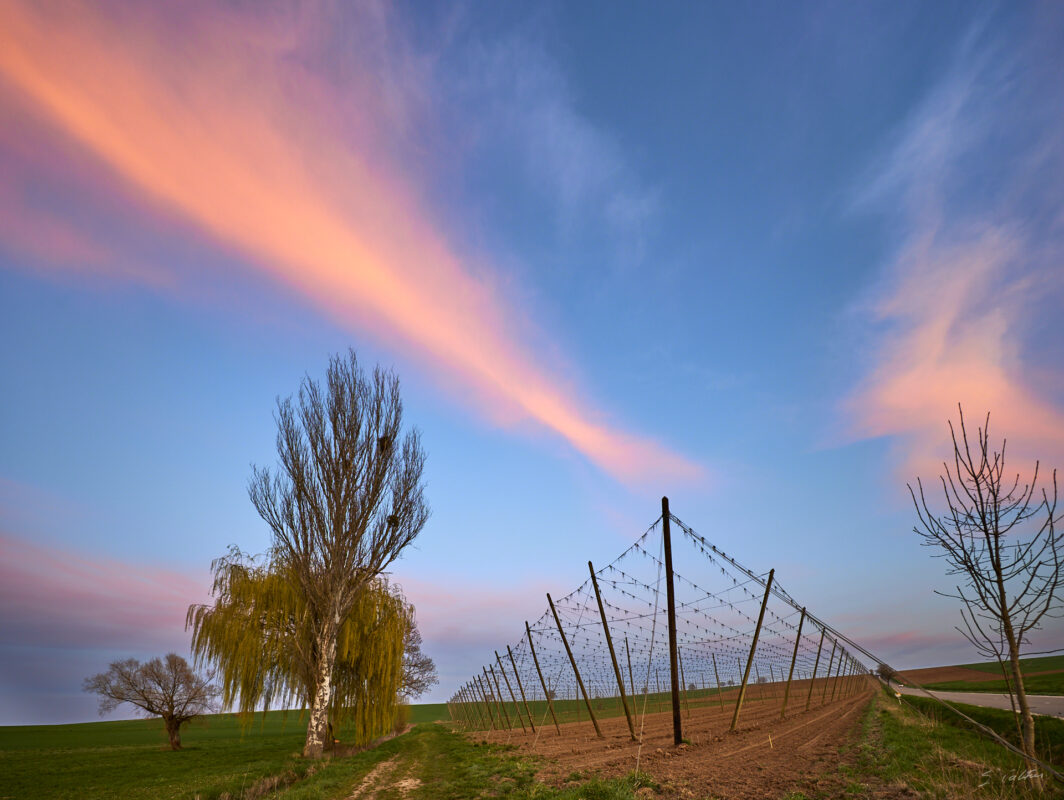 © All Rights Reserved - 2025-03-28 17:02:59 f/5.6 1/15sec ISO-100 14mm - France, Alsace, paysage, printemps