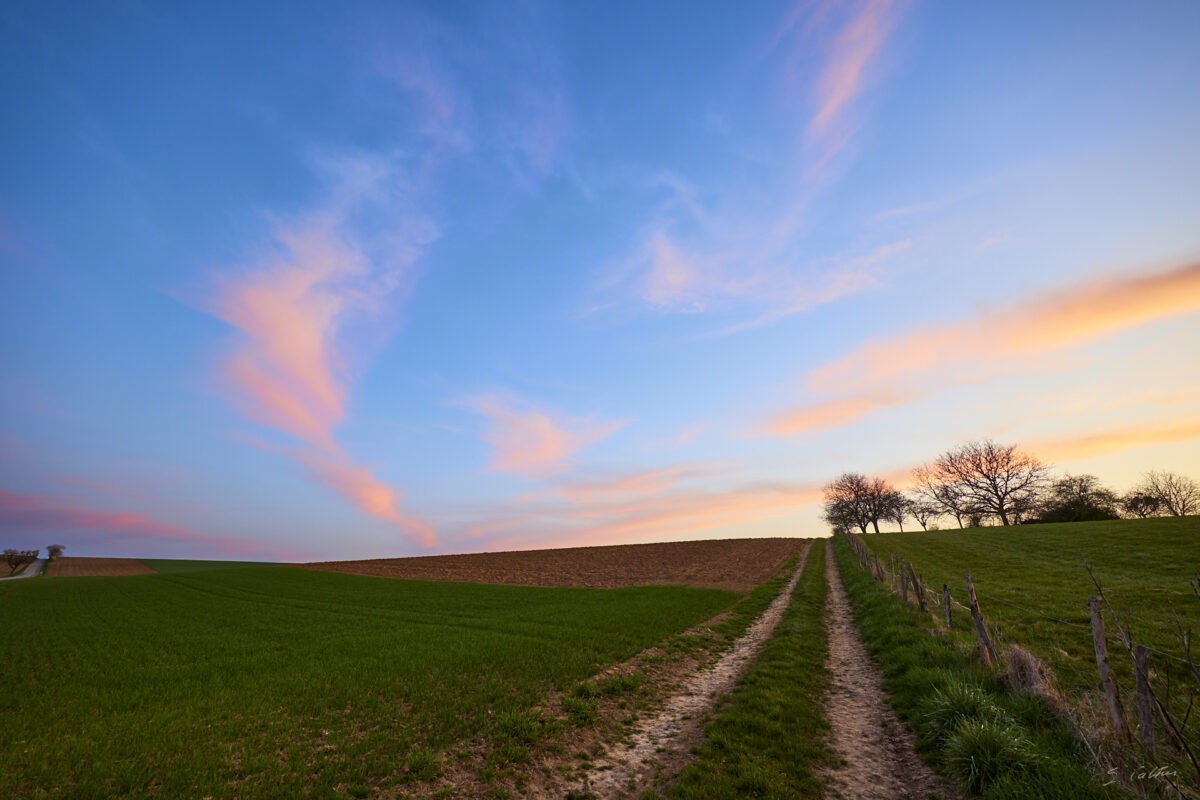 © All Rights Reserved - 2025-03-28 17:01:47 f/5.6 1/15sec ISO-100 14mm - France, Alsace, paysage, printemps