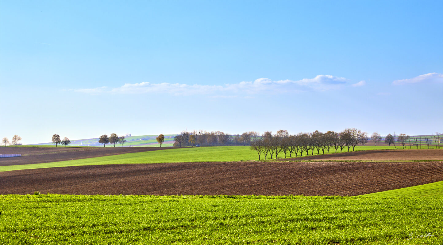 © All Rights Reserved - 2025-03-28 14:32:40 f/8 1/320sec ISO-100 96mm - France, Alsace, paysage, printemps