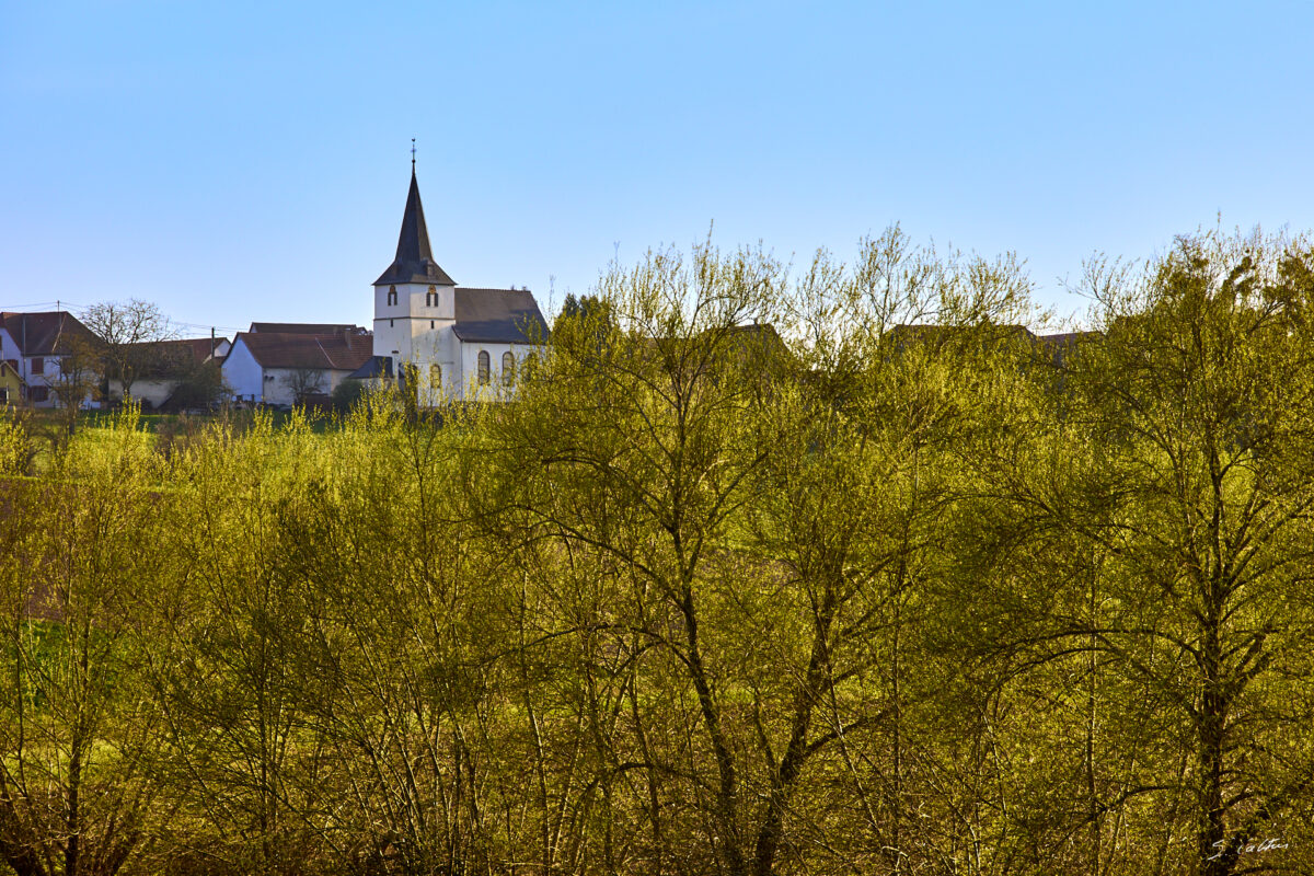 © All Rights Reserved - 2025-03-28 15:44:36 f/11 1/125sec ISO-100 200mm - France, Alsace, paysage, printemps
