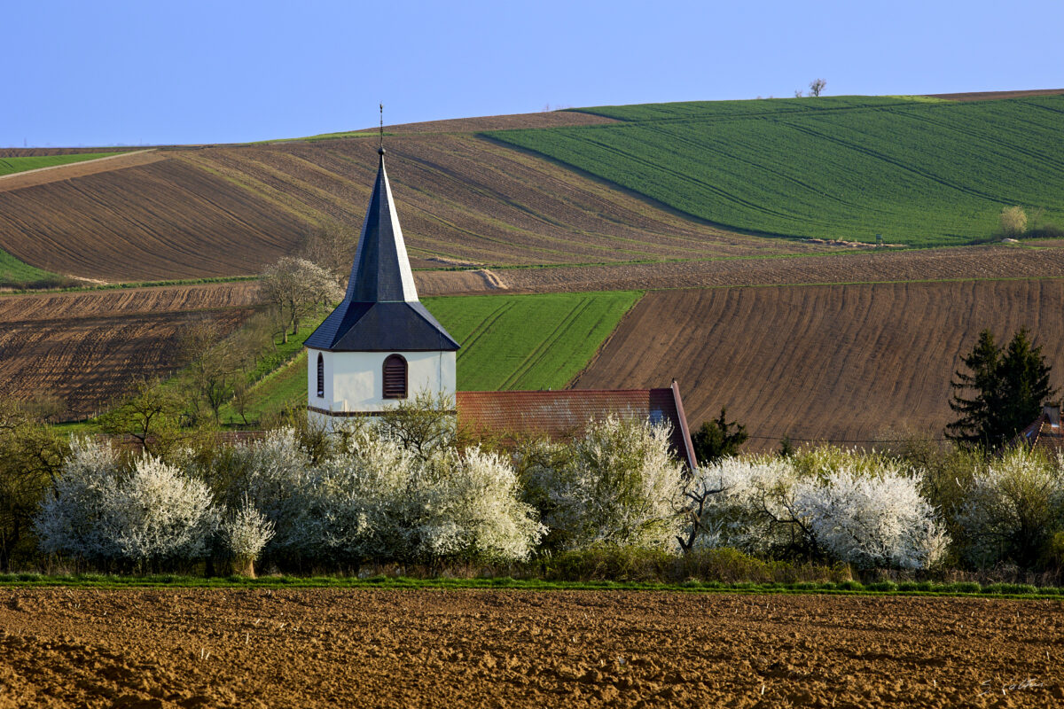 © All Rights Reserved - 2025-03-28 15:32:49 f/11 1/80sec ISO-100 164mm - France, Alsace, paysage, printemps