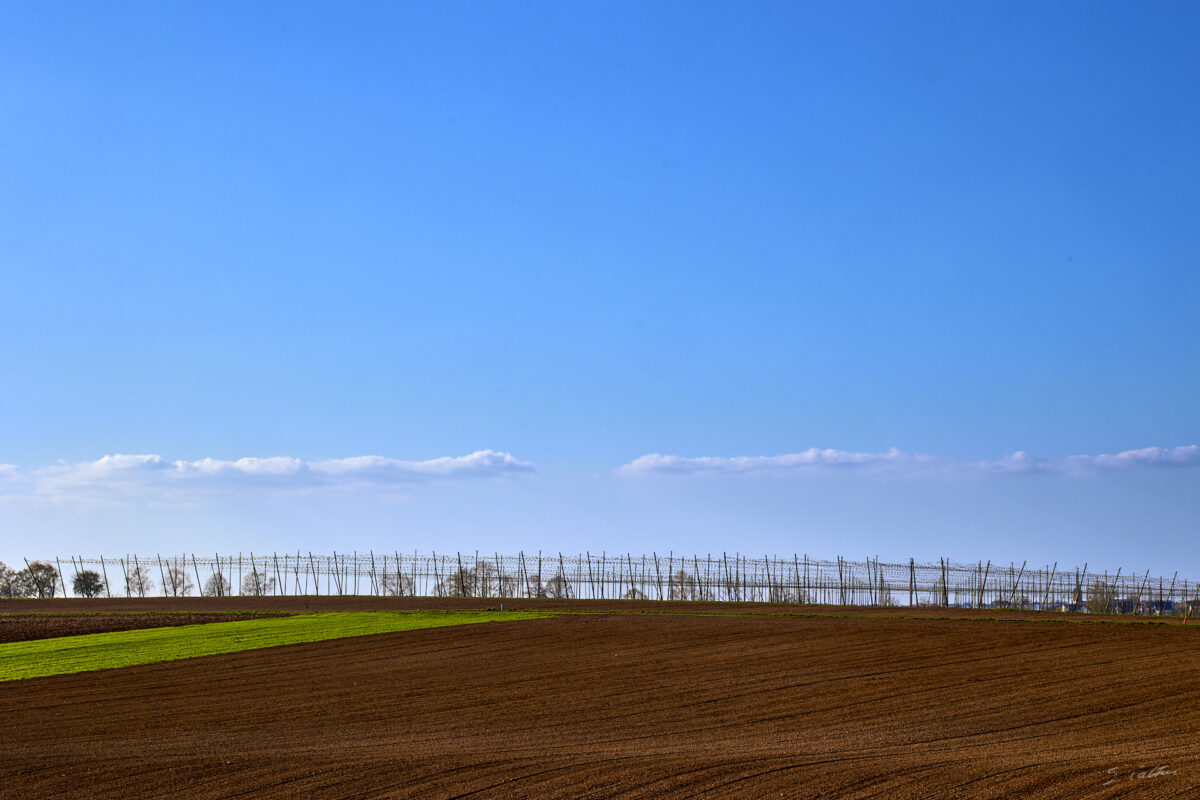 © All Rights Reserved - 2025-03-28 14:46:01 f/11 1/160sec ISO-100 94mm - France, Alsace, paysage, printemps