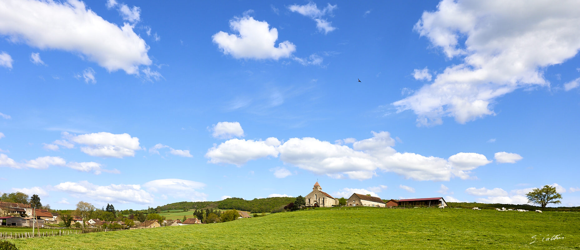 © All Rights Reserved - 2025-04-19 13:56:02 f/9 1/320sec ISO-100 26mm - France, Bourgogne, Clunisois, campagne