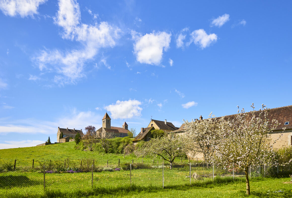 © All Rights Reserved - 2025-04-20 09:36:34 f/6.3 1/500sec ISO-100 24mm - France, Bourgogne, Clunisois, campagne
