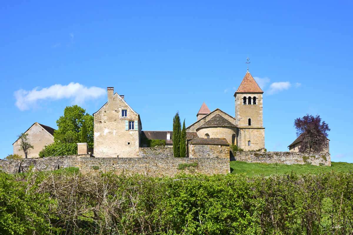 © All Rights Reserved - 2025-04-20 09:41:29 f/8 1/400sec ISO-100 61mm - France, Bourgogne, Clunisois, campagne