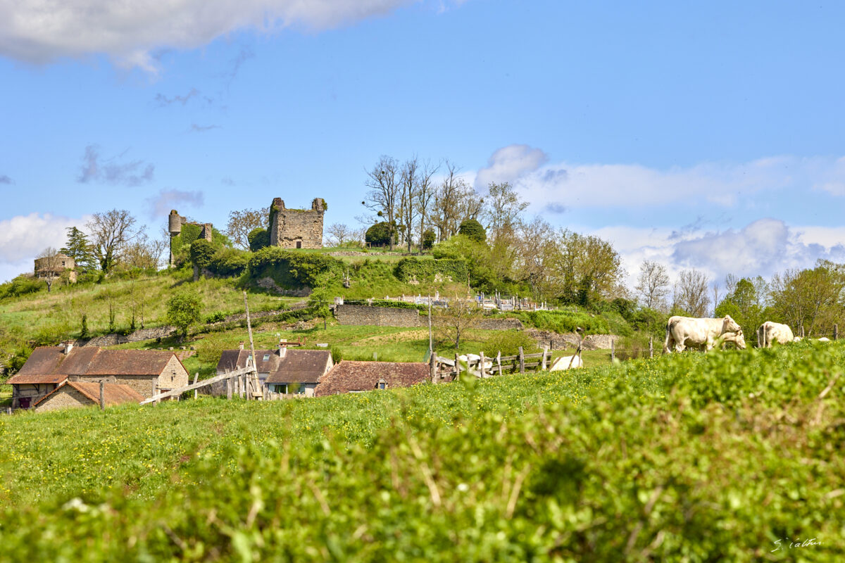 © All Rights Reserved - 2025-04-20 10:18:30 f/8 1/250sec ISO-100 131mm - France, Bourgogne, Clunisois, campagne
