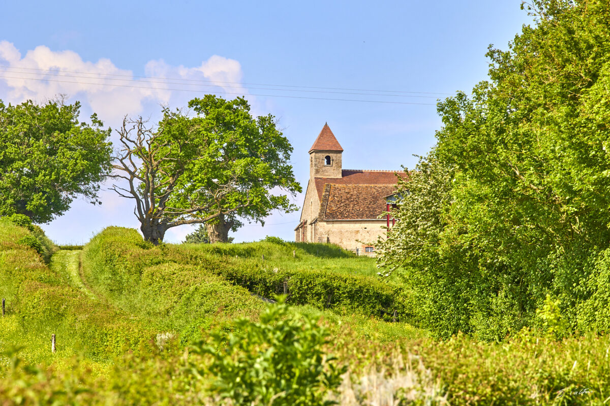 © All Rights Reserved - 2025-05-09 14:56:59 f/11 1/320sec ISO-200 200mm - France, Bourgogne, Clunisois, campagne