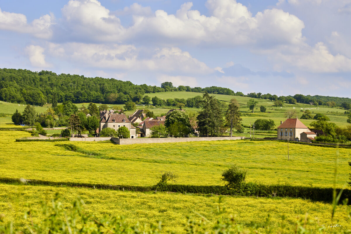 © All Rights Reserved - 2025-05-09 15:01:54 f/8 1/200sec ISO-200 70mm - France, Bourgogne, Clunisois, campagne