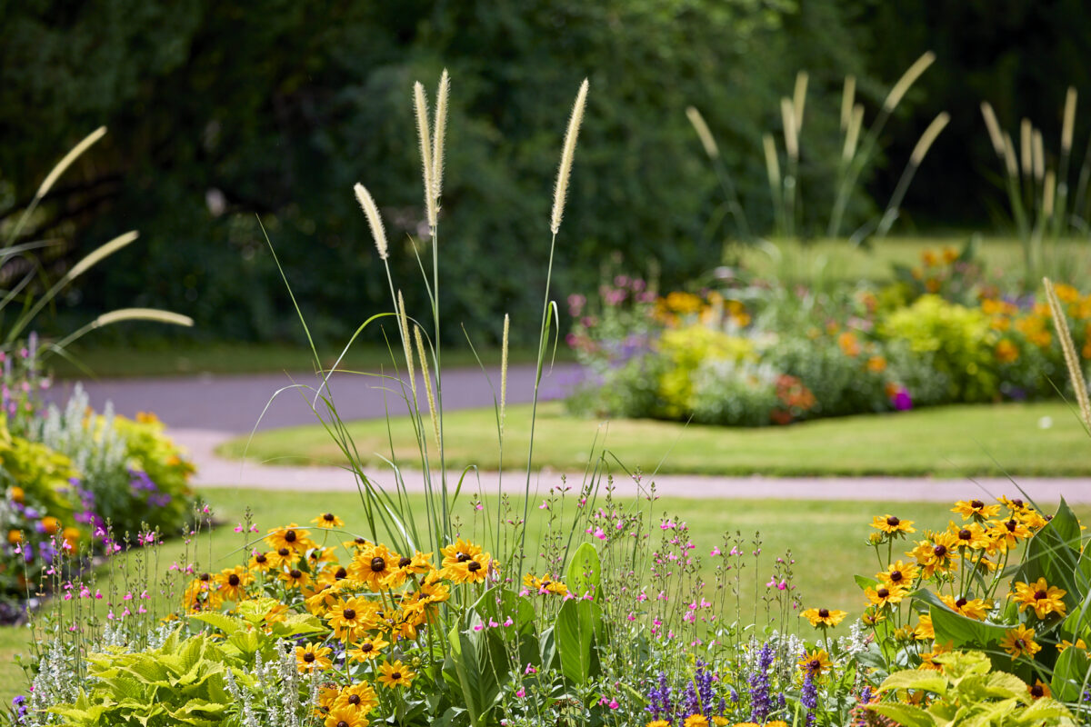 © All Rights Reserved - 2025-07-08 13:49:36 - f/5 1/500sec ISO-100 182mm - France, Alsace, Strasbourg, Parc de l'Orangerie