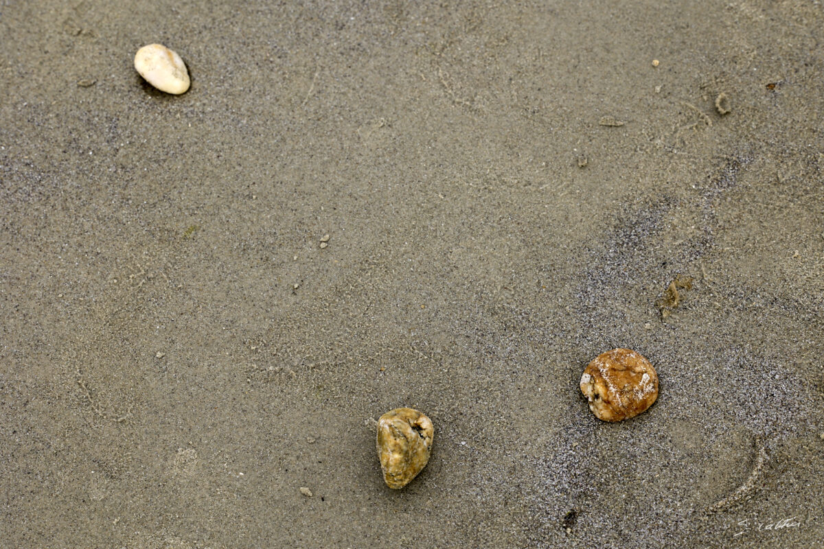 © All Rights Reserved - 2025-07-29 14:47:13 - f/8 1/320sec ISO-100 116mm - France, Bretagne, Morbihan, Carnac
