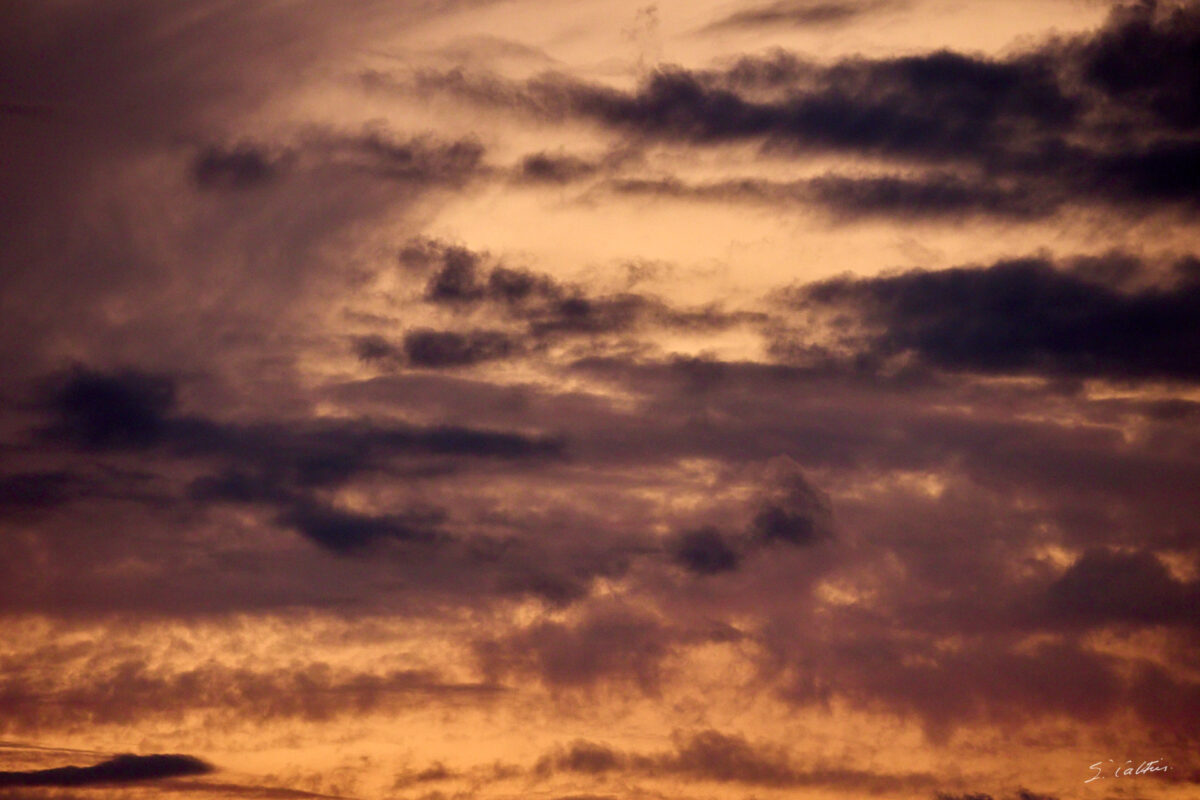 © All Rights Reserved - 2025-08-02 19:28:27 - f/8 1/160sec ISO-3200 400mm - France, Bourgogne, Saône-et-Loire, Sigy-le-Châtel, Coucher de soleil