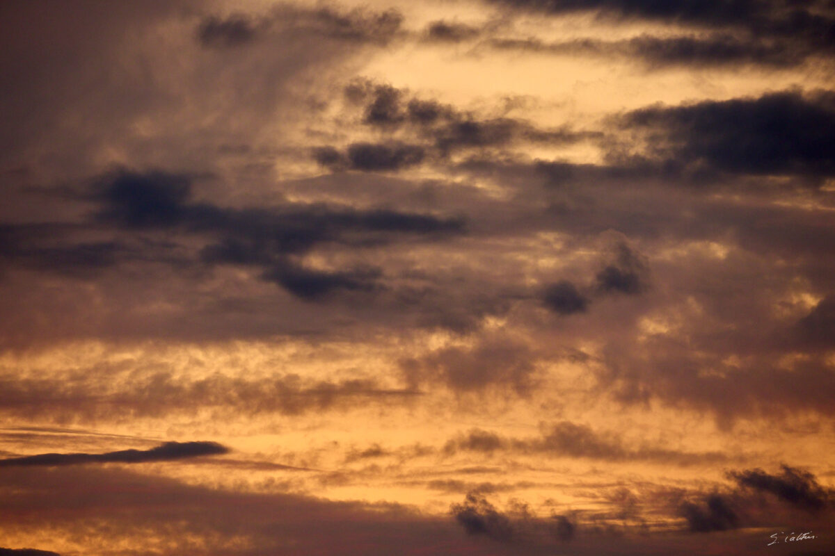 © All Rights Reserved - 2025-08-02 19:28:42 - f/8 1/60sec ISO-1600 400mm - France, Bourgogne, Saône-et-Loire, Sigy-le-Châtel, Coucher de soleil