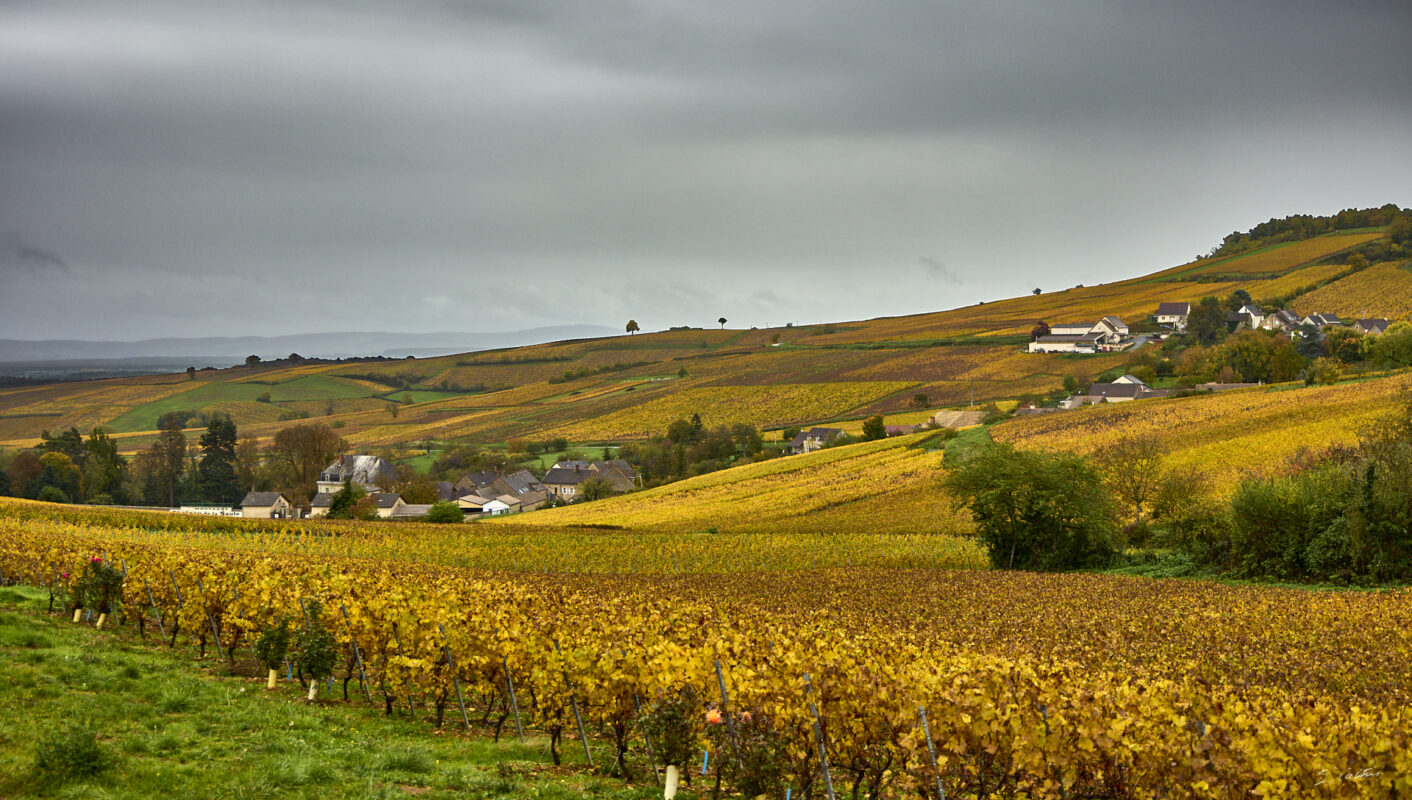 2025-10-25-063573-Montagny