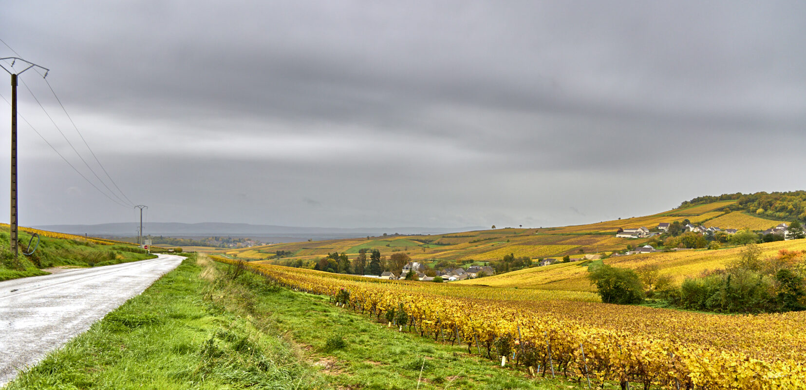 2025-10-25-063575-Montagny