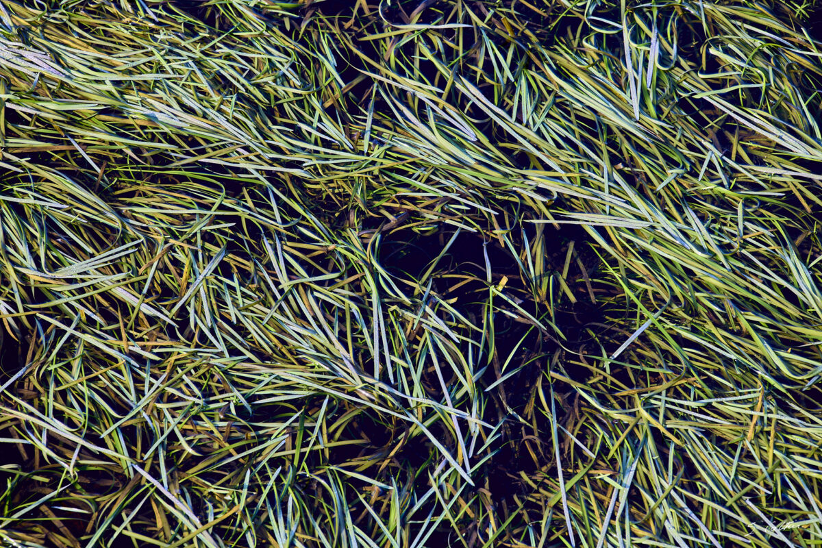 © All Rights Reserved - 2025-12-12 12:48:10 - f/8 1/30sec ISO-100 200mm - France - Bourgogne - Saône-et-Loire