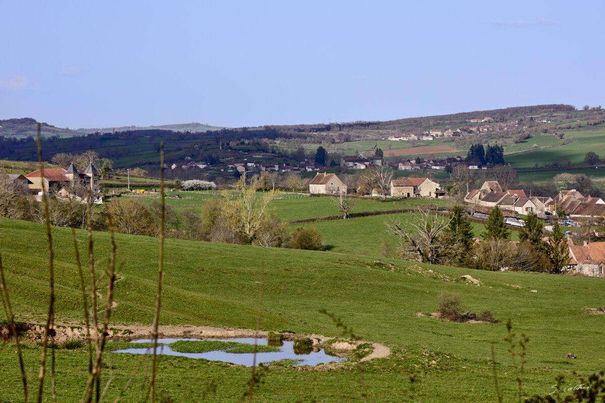 © All Rights Reserved - 2026-03-08 13:53:35 - f/8 1/250sec ISO-100 105mm - France - Bourgogne - Saône-et-Loire - Sailly